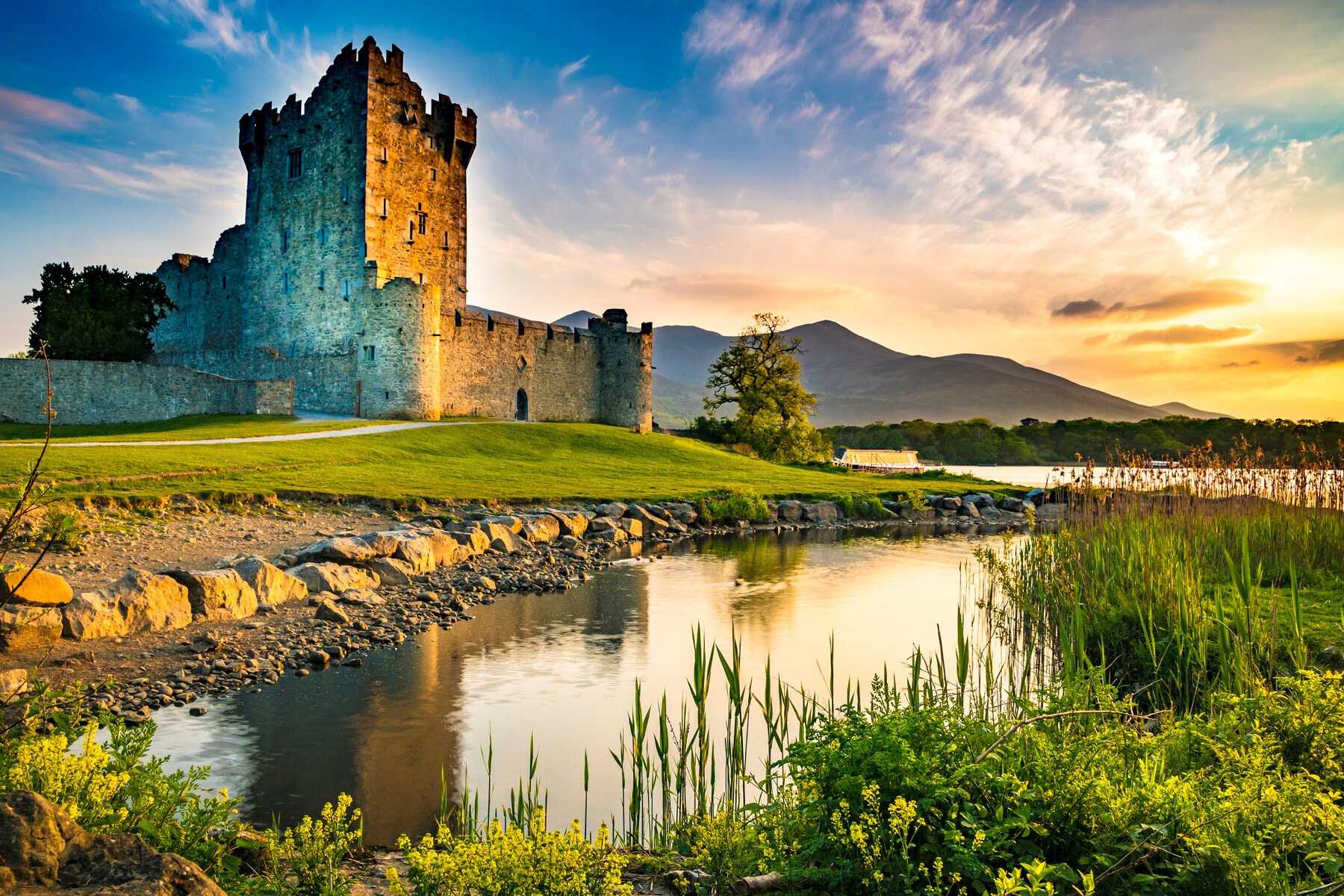 please upload an Entity image